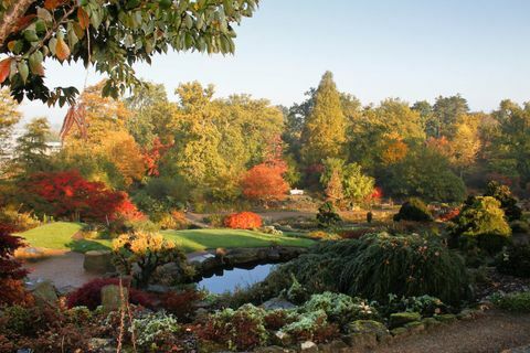 RHS Garden Wisley: Rock Garden in Wild Garden v Wisleyju jeseni