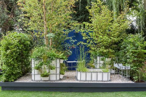 rhs chelsea flower show 2021 kontejnerski vrtovi