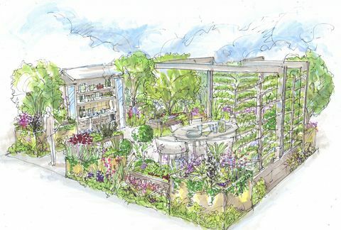 chelsea flower show 2021, vrt s peteršiljem, ki ga je zasnoval Alan Williams