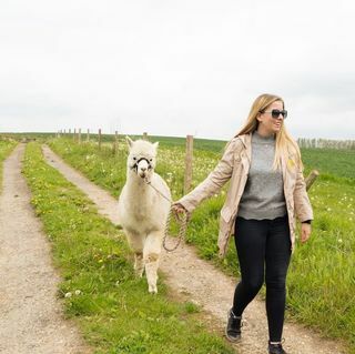 Alpaca Trekking in vstop v Eagle Heights Wildlife Foundation za dva