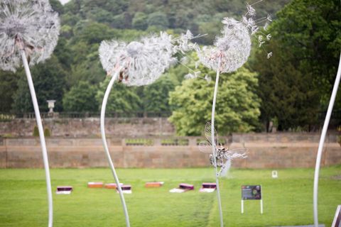 RHS Chatsworth Flower Show 2017 danes (torek, 6. junij 2017)