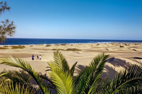 Peščene sipine Maspalomas, Gran Canaria, Kanarski otoki, Španija