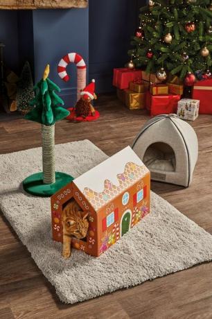 Aldi lansira ponudbo božičnih daril za hišne ljubljenčke
