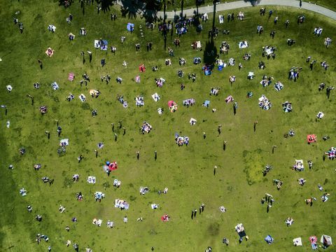 Pogled na glavo v mestnem parku v poletnem dnevu, sedeči, stoječi, na preprogah za piknik.