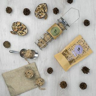 Darilna škatlica s semeni za ptice z maščobnimi kroglicami