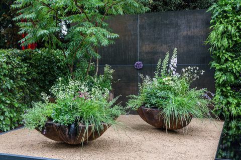 rhs chelsea flower show 2021 kontejnerski vrtovi