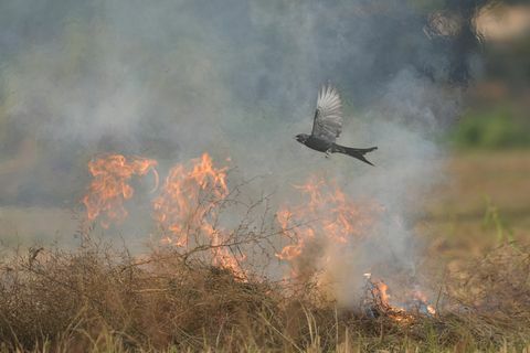 fotografski natečaj rhs 2021