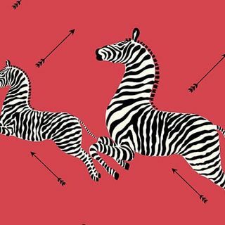 Scalamandre Zebras - ozadje Masai rdeče ozadje