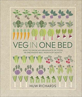 Zelenjava v eni postelji: kako pridelati obilico hrane v eni dvignjeni postelji, iz meseca v mesec
