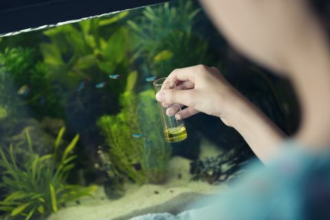 dekle, ki uporablja kemični testni komplet za merjenje kakovosti vode v domačem akvariju