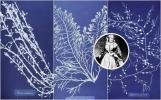 Mednarodni dan žensk: botanično ozadje z navdihom Anna Atkins je preprosto elegantno