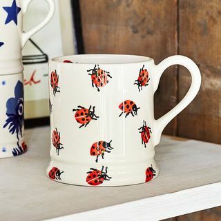 Skodelica pikapolonica Emma Bridgewater Insects