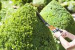 Dobro vzdrževan vrt lahko poveča vrednost vaše lastnine za 2000 funtov