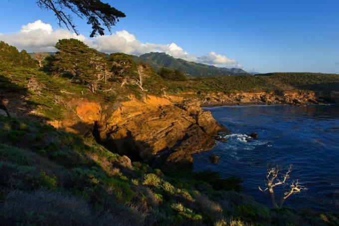 obala in morje, državni naravni rezervat point lobos pacifiška avtocesta, kalifornija, zda