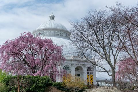 enid a haupt conservatory nybg newyorški botanični vrt