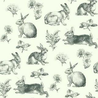 Navdih za ozadje Color Bunny Toile At4263