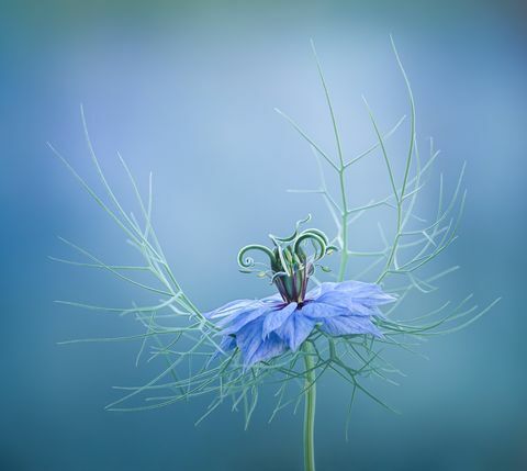 fotografski natečaj rhs 2021