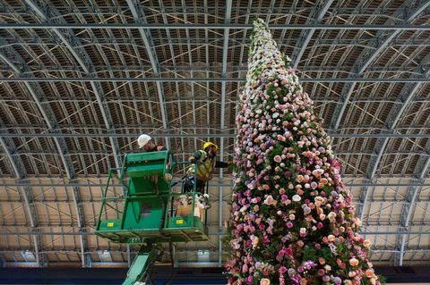 Na postaji St. Pancras, London, je bila razkrita cvetlična božična drevesa 47ft.