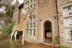 Žirafe se vam bodo pridružile za zajtrk skozi okno v tem očarljivem hotelu graščine