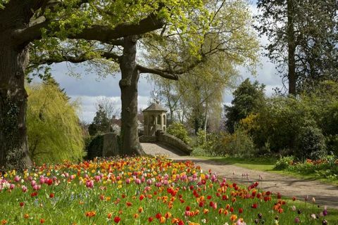 Park Dunsborough - Surrey - rože - Savills