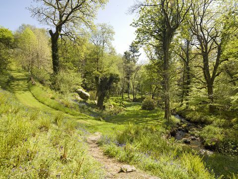 Ena izmed najboljših rezidenčnih hiš Dartmoor za prodajo