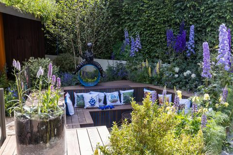 chelsea flower show 2022 novi modri petrov vrt odkrij zemljo oblikovalca juliet sargeant