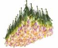 Ta viseči stekleni lestenec je okrašen z umetnimi tulipani v rožnati barvi