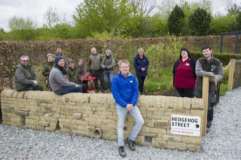 Prvi stalni vrt Hedgehog Street v Veliki Britaniji je bil predstavljen na RHS Harlow Carr v Severnem Yorkshireu