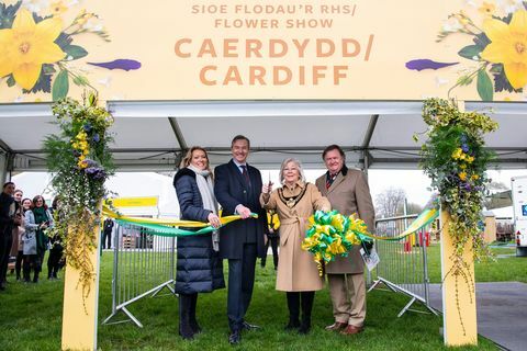 Cardiff Flower Show 2019