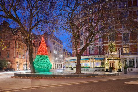 Fotografija The Connaught Christmas tree 2018