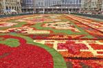 Ta spektakularna cvetlična preproga je narejena iz 700.000 cvetnih listov Begonije