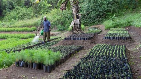 tanzanija ecosia