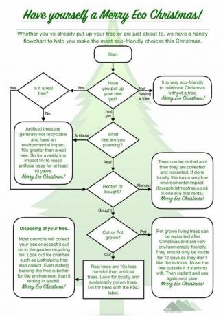 Izbira okolju prijaznega diagrama za božično drevo