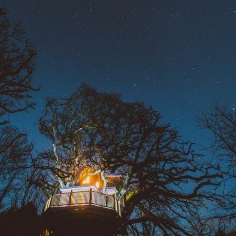Treehouse Treetops - Devon - noč - Nadstrešnica
