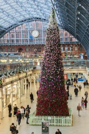 Na postaji St. Pancras, London, je bila razkrita cvetlična božična drevesa 47ft.