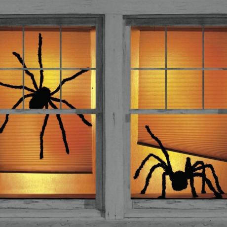 Okenski plakati Shady Spiders