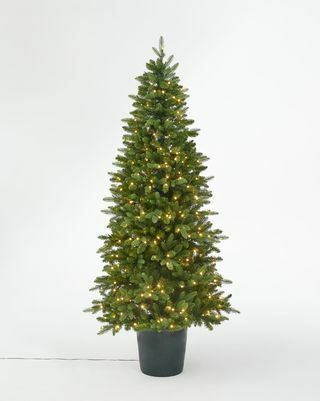 Vnaprej prižgano božično drevo Bala Green v lončkih, 7ft