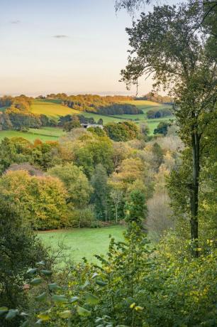 pogled na posestvo z razgledne ploščadi v aboretumu Winkworth, Surrey