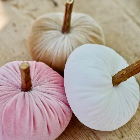 Pastel Velvet Pumpkin Trio