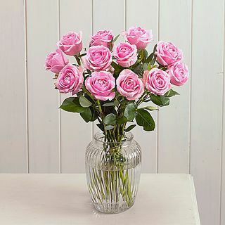 Rožnate vrtnice