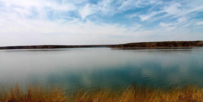 jezerska pokrajina s travo, jezero Meredith, Teksas, ZDA