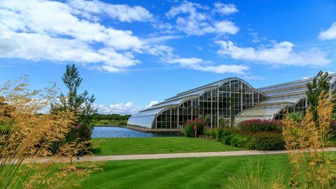 Wisley RHS rastlinjak