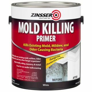 Zinsser Mould Killing Primer