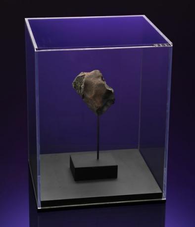 dražba pasje hišice meteorita christie's