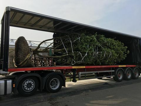 Chelsea Flower Show 2019: Začne se gradnja vrtnarije v Yorkshireu