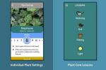 Aplikacija DRYP vam bo pomagala ohranjati žive rastline