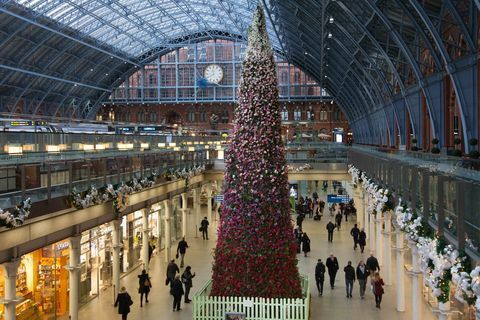 Na postaji St. Pancras, London, je bila razkrita cvetlična božična drevesa 47ft.