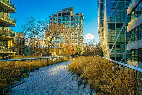 Okrožje High Line za pakiranje mesa v New Yorku