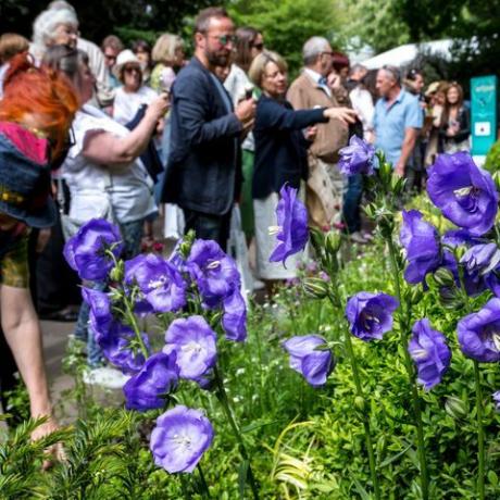 Množica obiskovalcev gleda vrtne zasnove na odprtju cvetlične razstave rhs chelsea v Londonu, 22. maja 2019, fotografija dominika zarzyckanurphoto