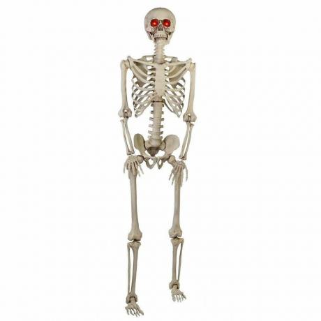 5 ft LED Pose-N-Stay Skeleton